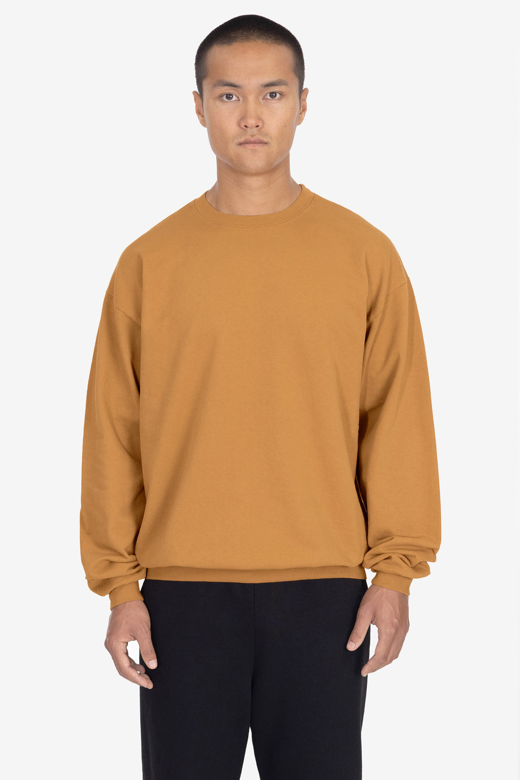 Camel